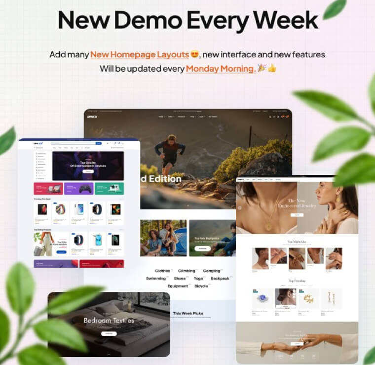 portfolio